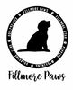 Fillmore Paws Wag & Paws